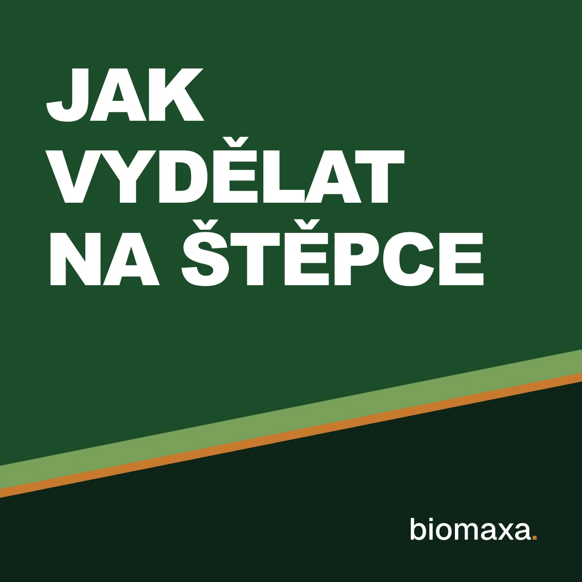 Obálka knihy Jak vydělat na štěpce